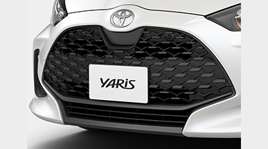 Grill_type1